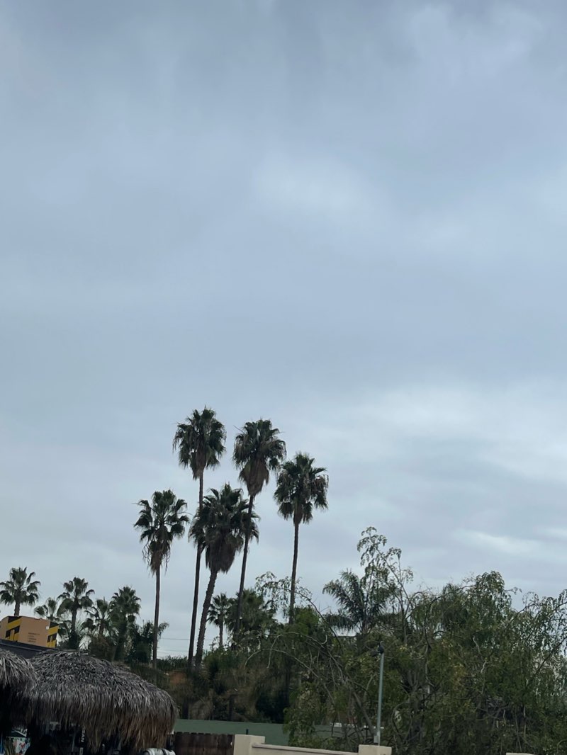 walking near me in Las Palmas Park in winter