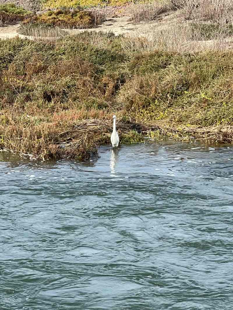 walking near me in Sellers-Keever Park in winter