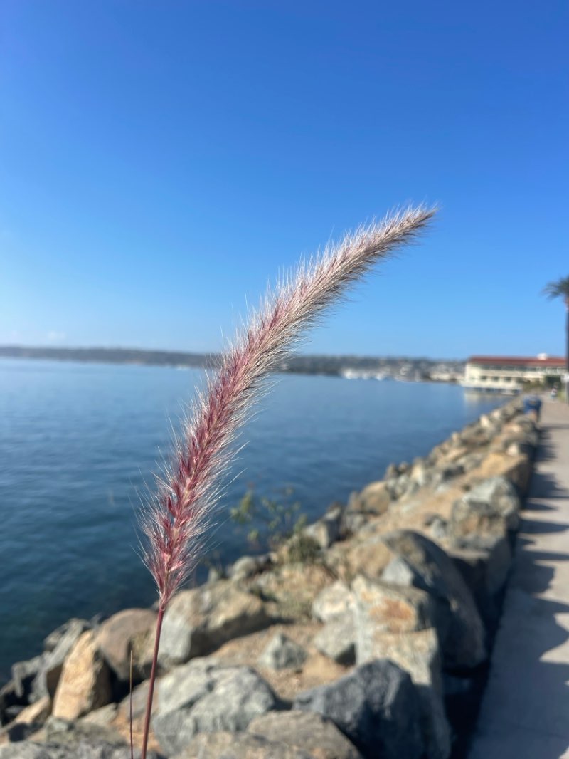 walking near me in Harbor Island Park in winter
