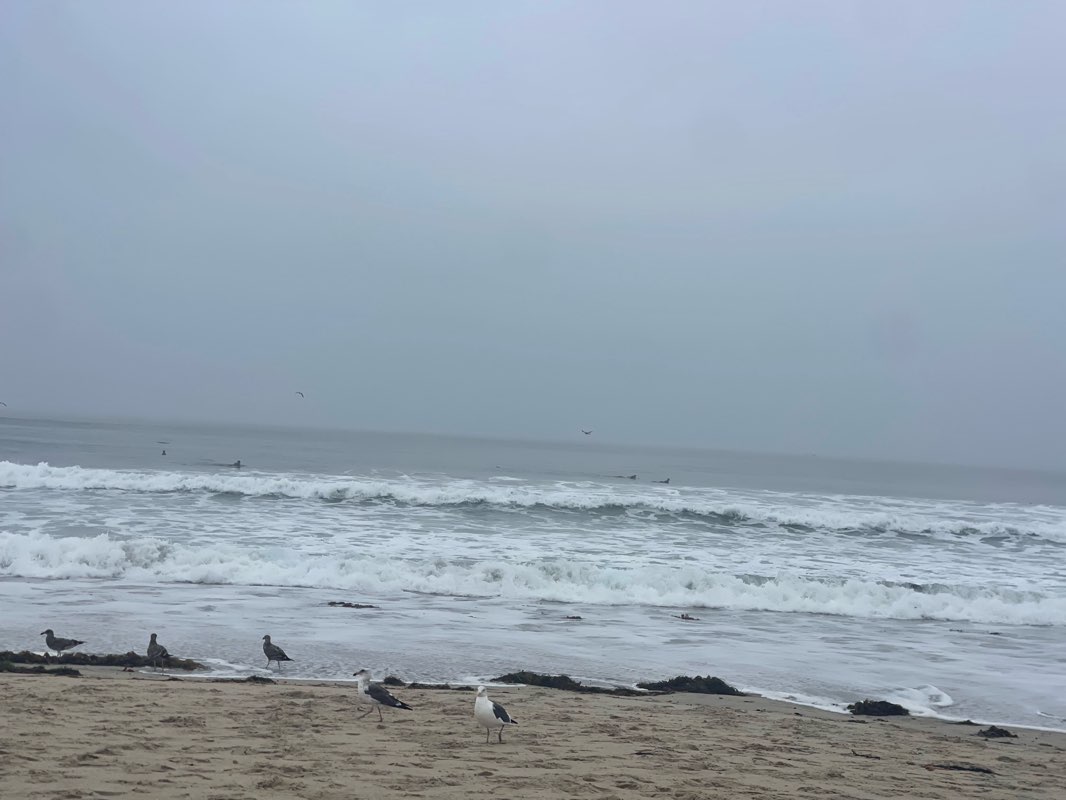 walking near me in Mission Beach Park in autumn