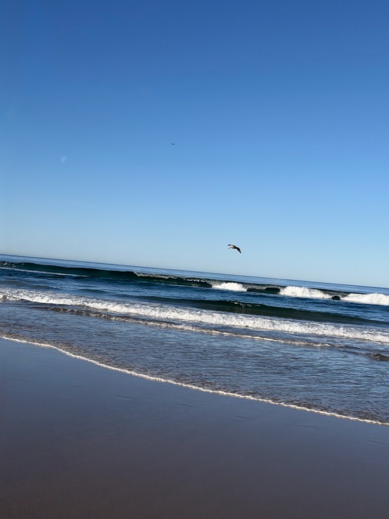 walking near me in Mission Beach Park in spring