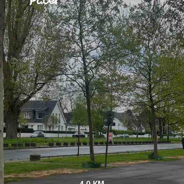 Вероніка post 1