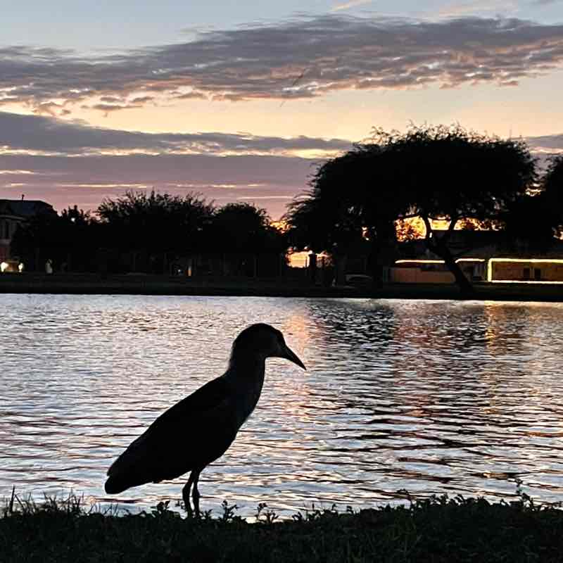 Rodolfo Enriquez post 2