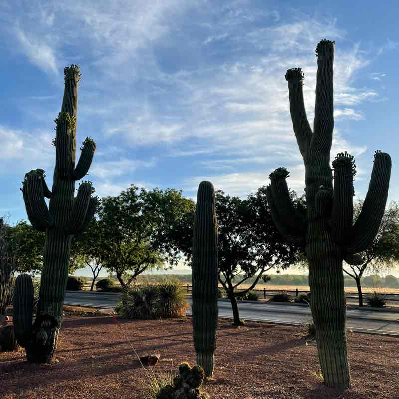 Rodolfo Enriquez post 1