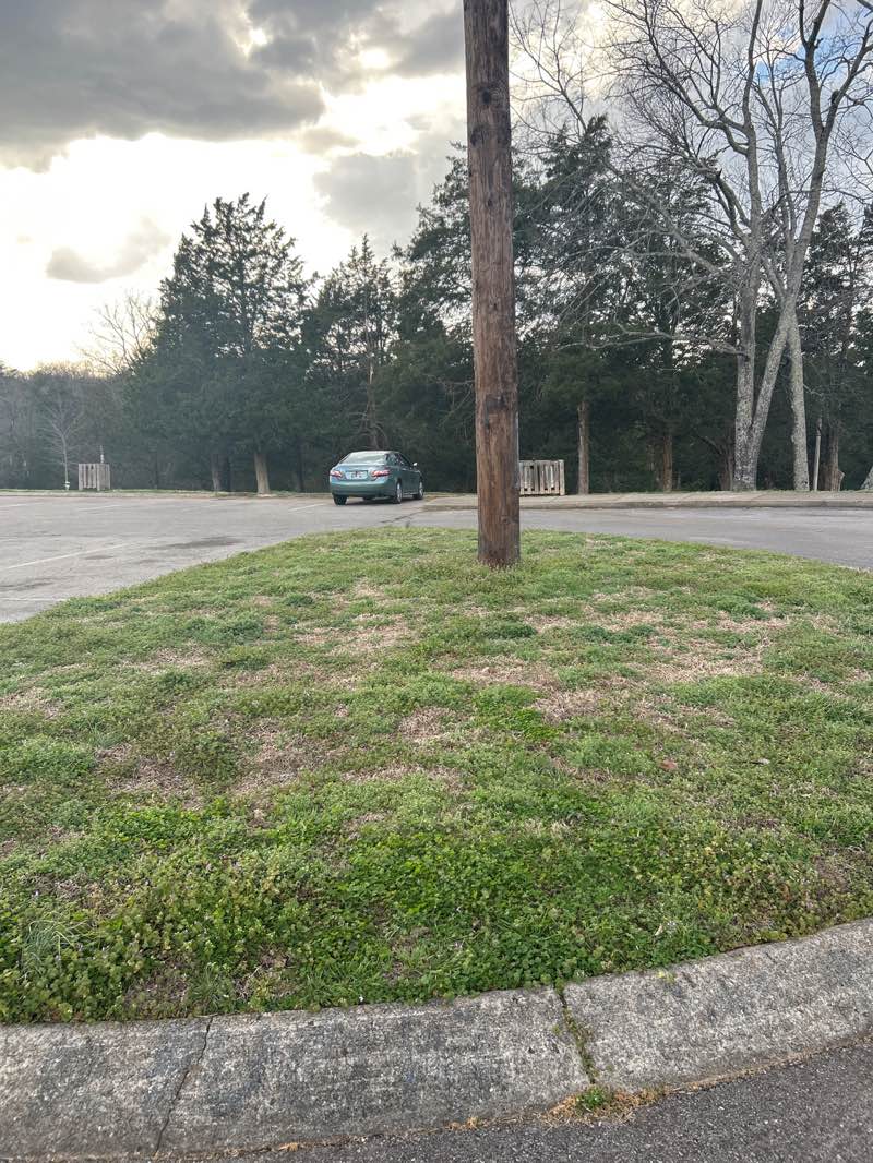 walking near me in William A. Pitts Park in spring