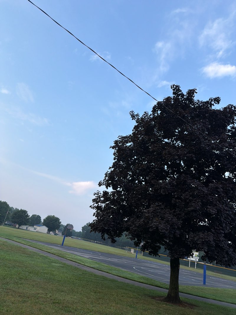walking near me in Church Lane Sports Park in summer