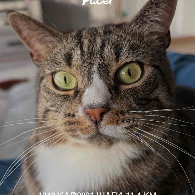 Irina 🇷🇺🇧🇪 post 1