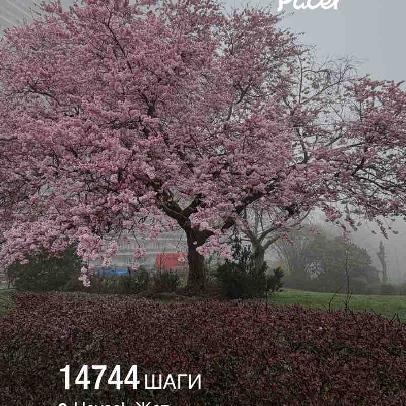 Irina 🇷🇺🇧🇪 post 1