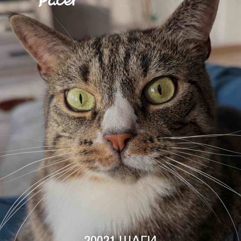 Irina 🇷🇺🇧🇪 post 1