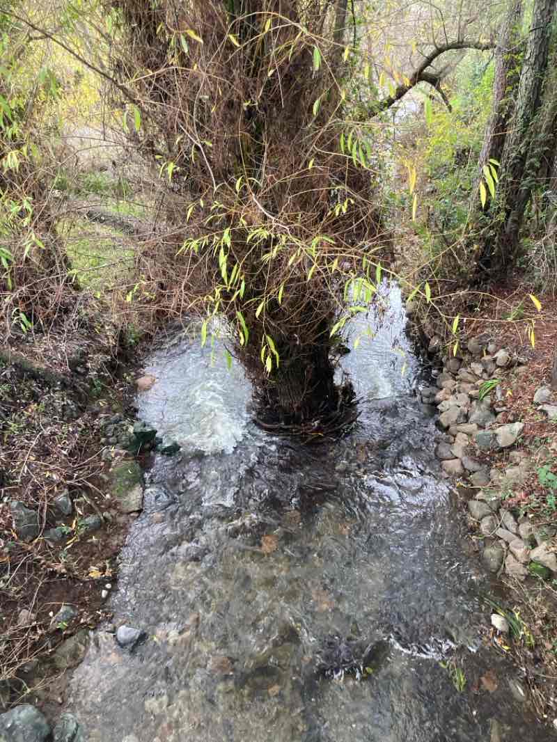 walking near me in Skyhawk Park in winter