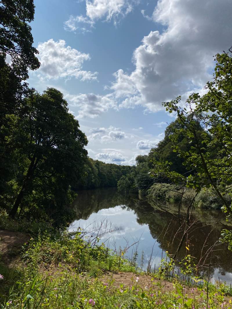 walking near me in Cadzow Glen in winter