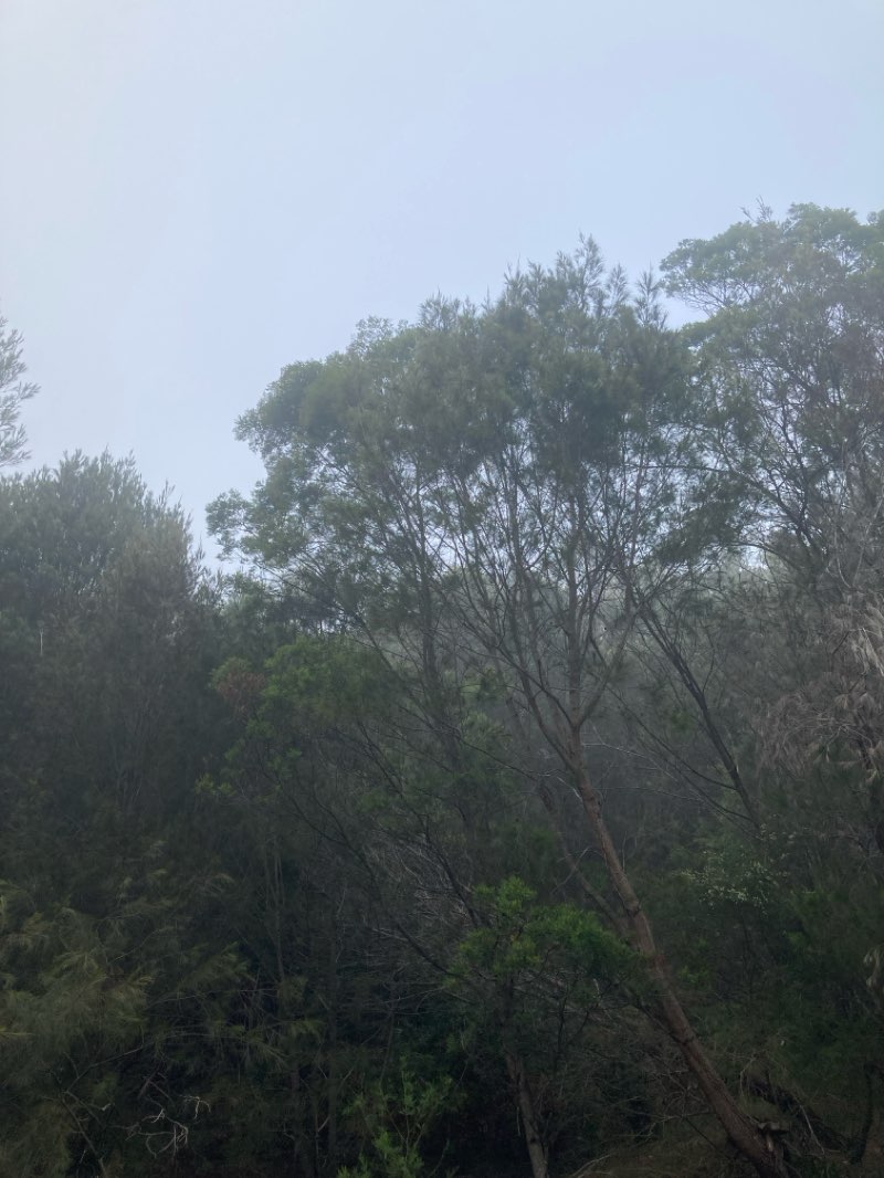walking near me in Ku-ring-gai Chase National Park in autumn