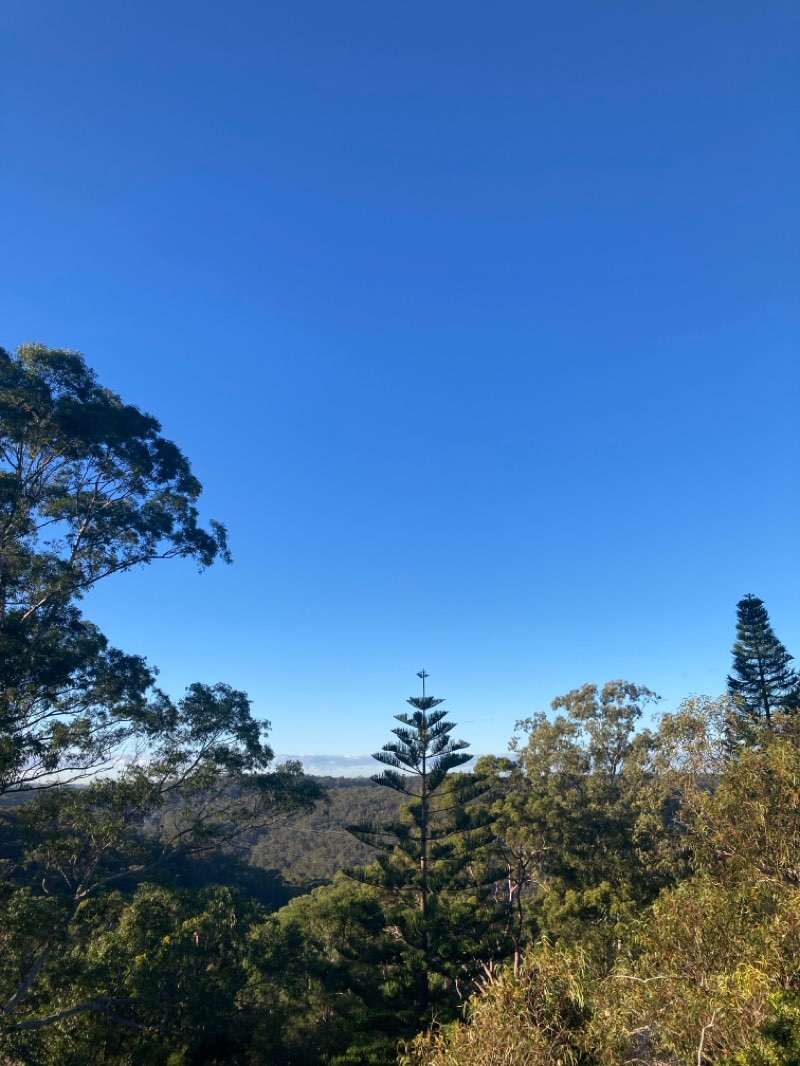 walking near me in Ku-ring-gai Chase National Park in autumn