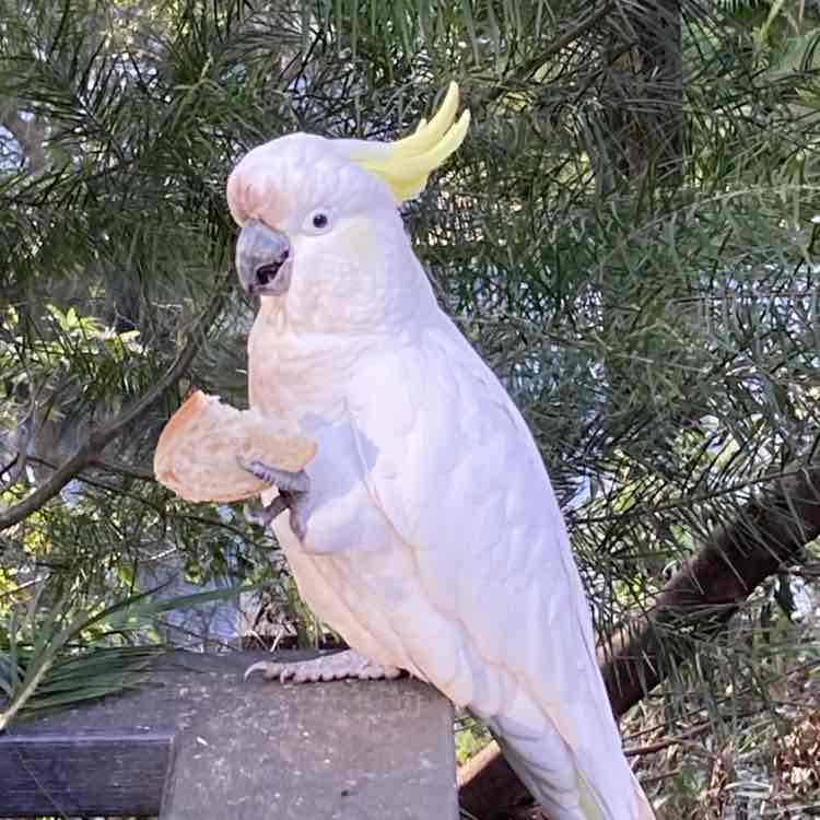 robertoverdi1985 post 2