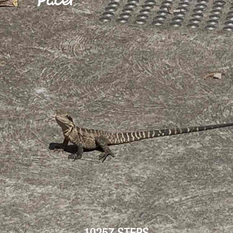 robertoverdi1985 post 1