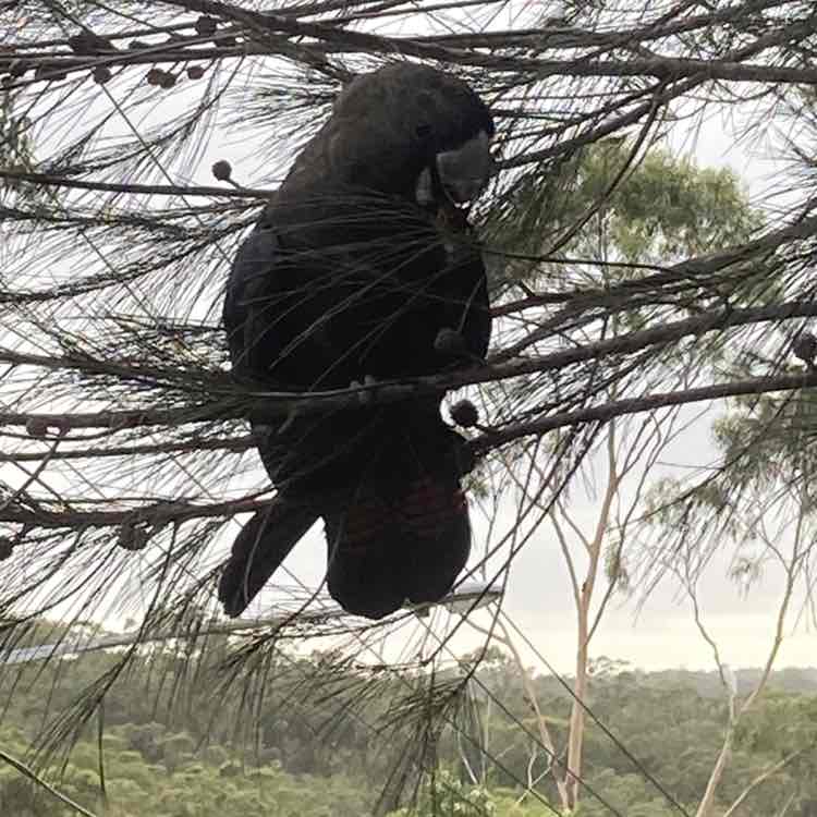 robertoverdi1985 post 3