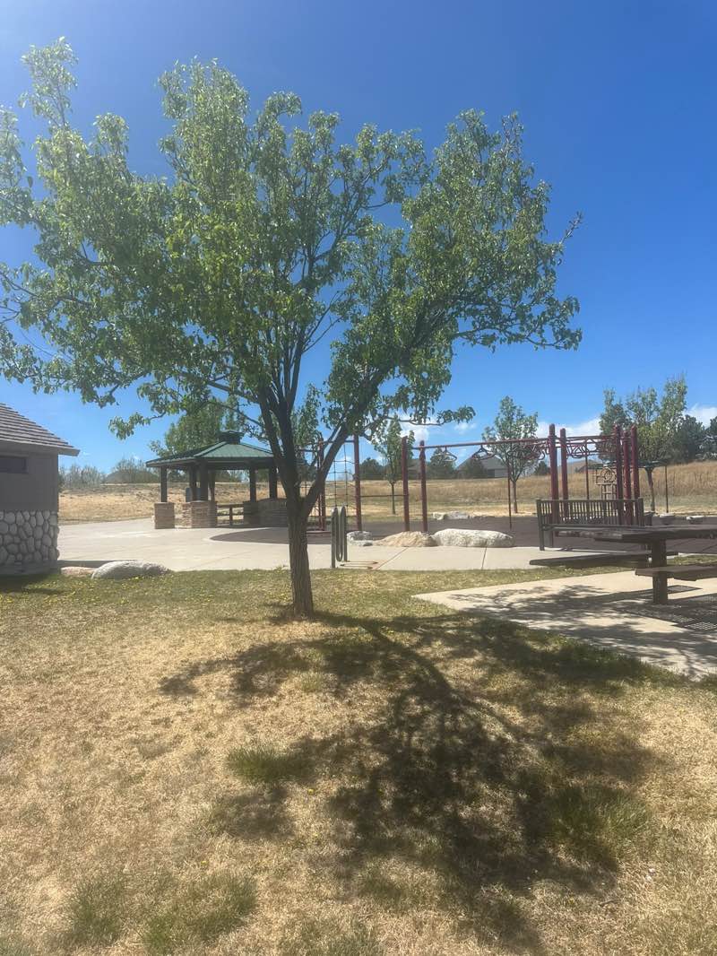 walking near me in Appaloosa Park in spring