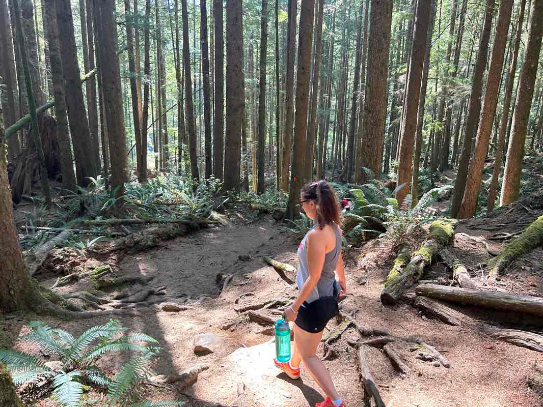 walking near me in Juan de Fuca Provincial Park in winter