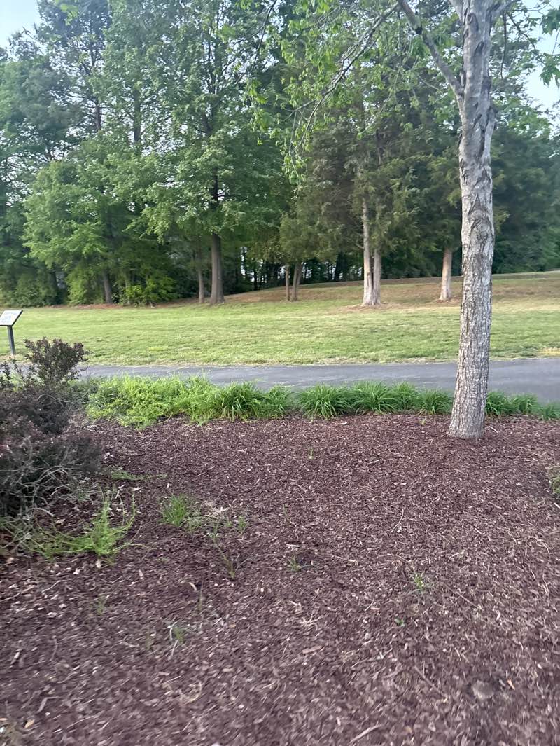 walking near me in Jack D. Hughes Memorial Park in spring