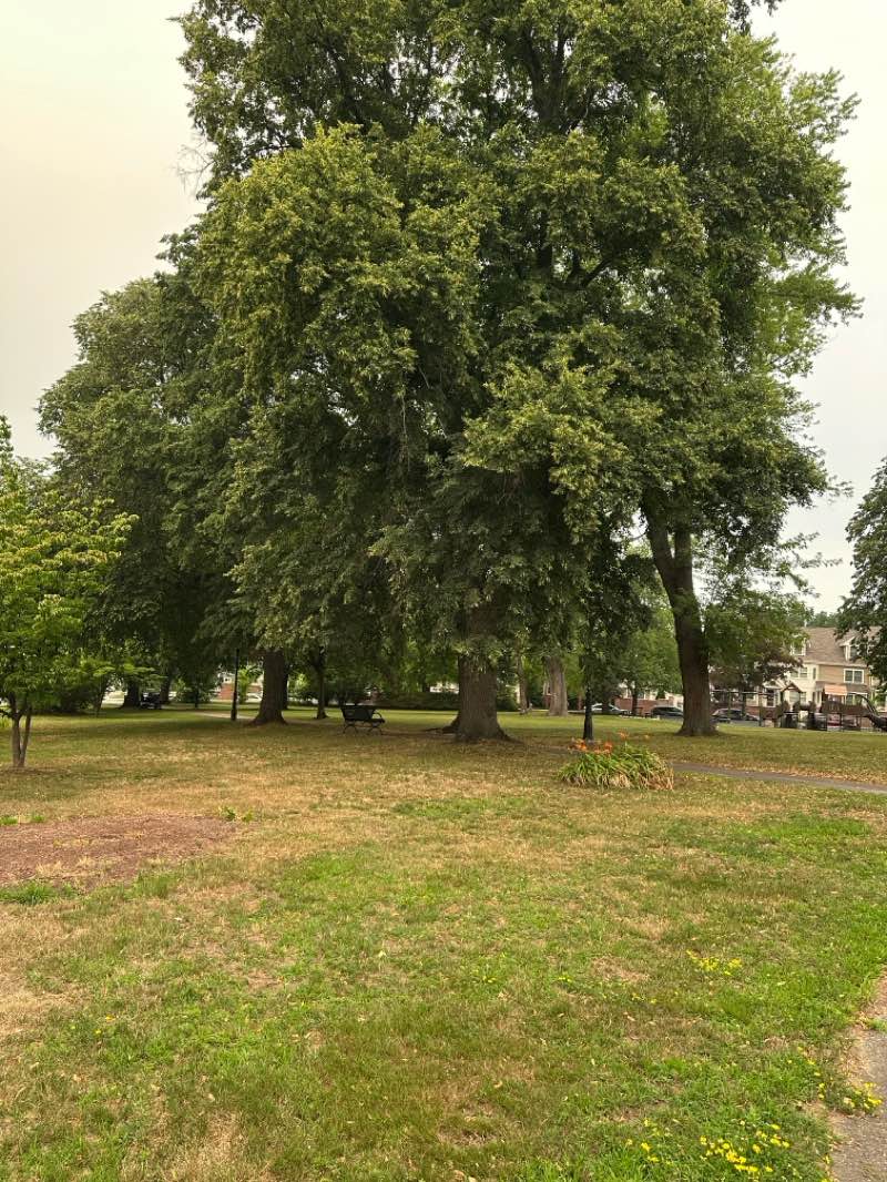 walking near me in Kittredge Park in summer