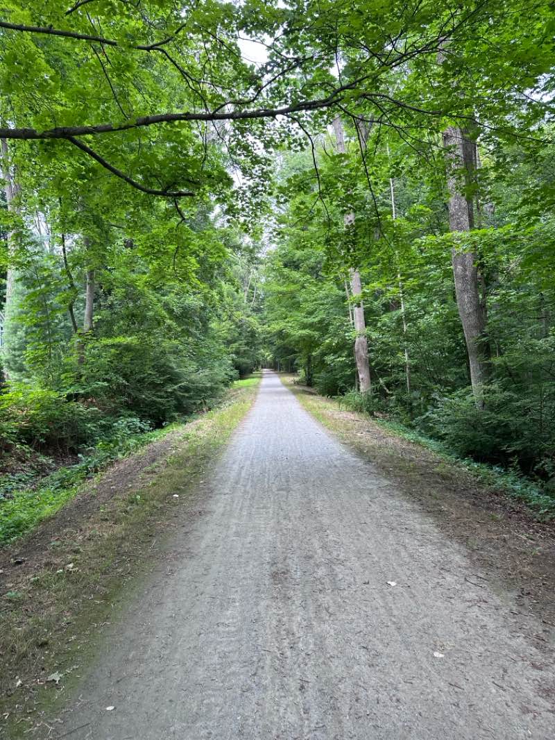 walking near me in Veterans Memorial Park in summer