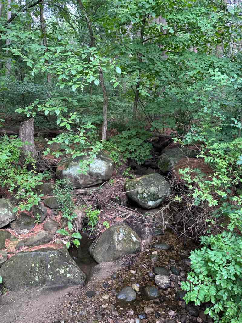 walking near me in Livingston Park in summer