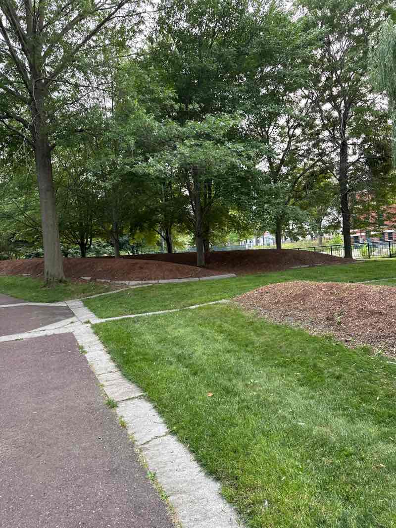 walking near me in Tsongas in summer