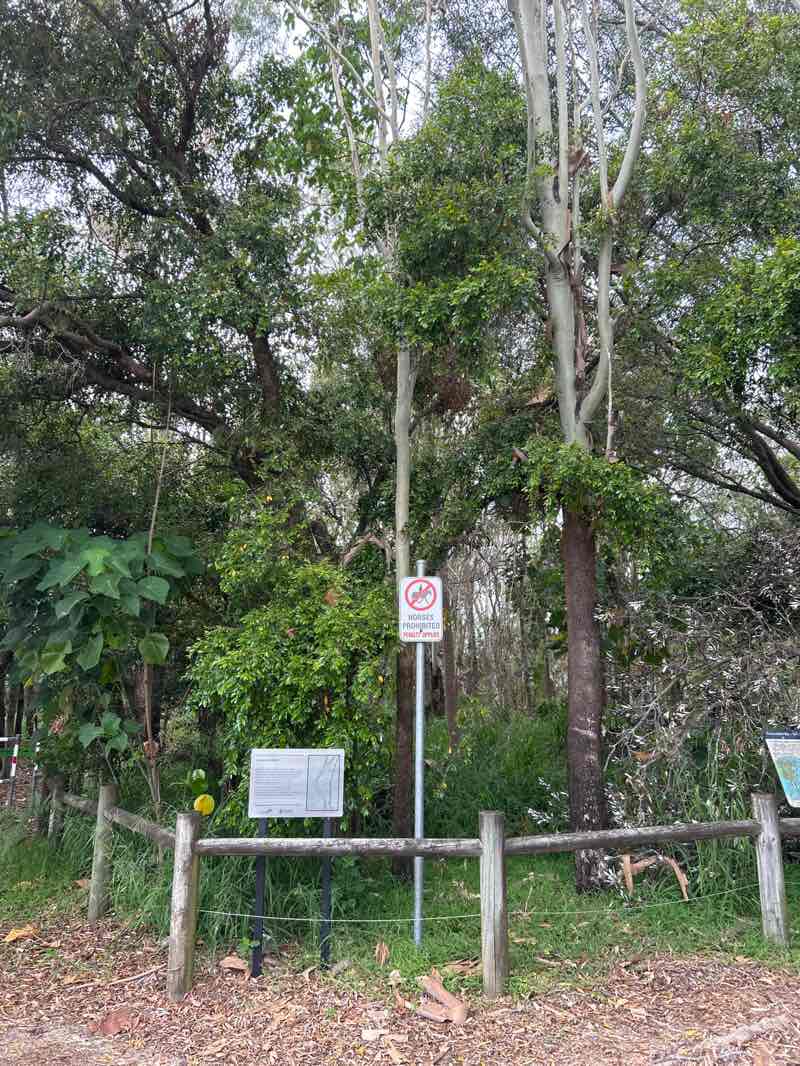 walking near me in Beachmere Conservation Park in summer