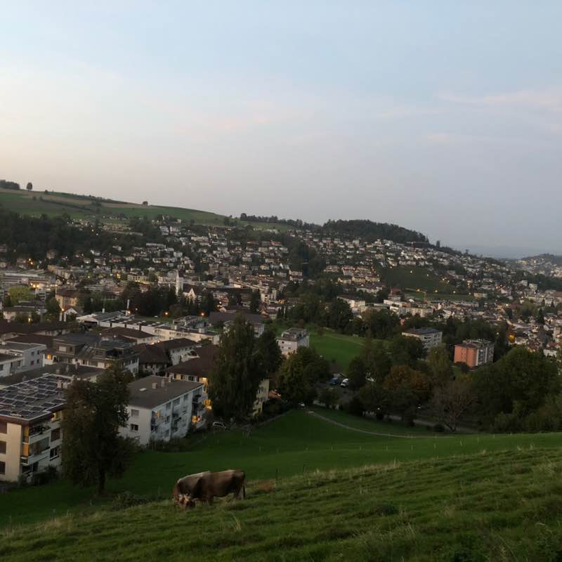 Natur Sabine post image