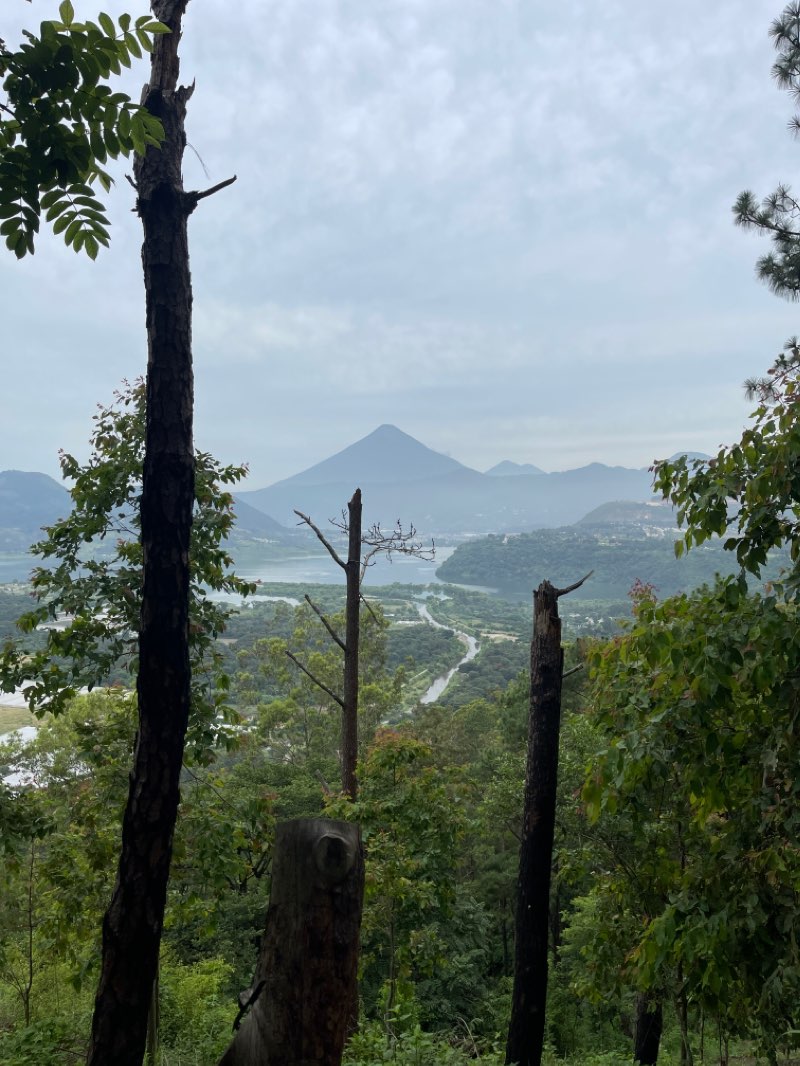 walking near me in parque dinosaurio in winter