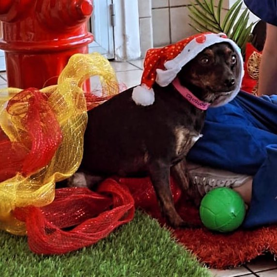 Ester Gutierrez Elizondo