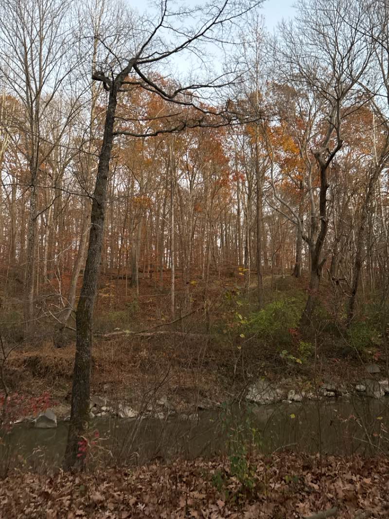 walking near me in Wakefield Park in autumn