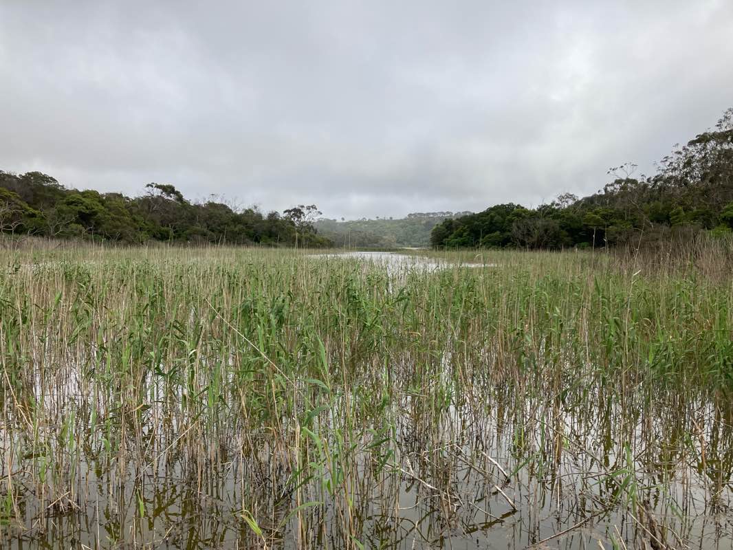 walking near me in Tower Hill Wildlife Reserve (hunting) in summer