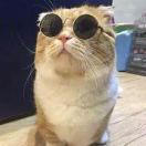 买不起面包的超人