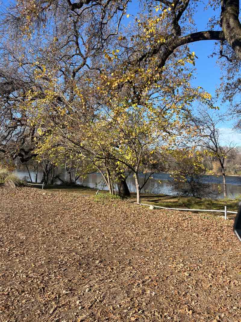 walking near me in Turtle Bay Exploration Park South in winter