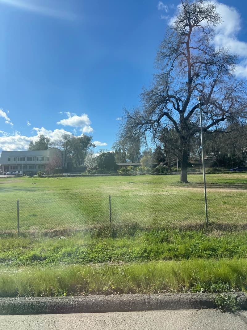 walking near me in Kutras Park in spring