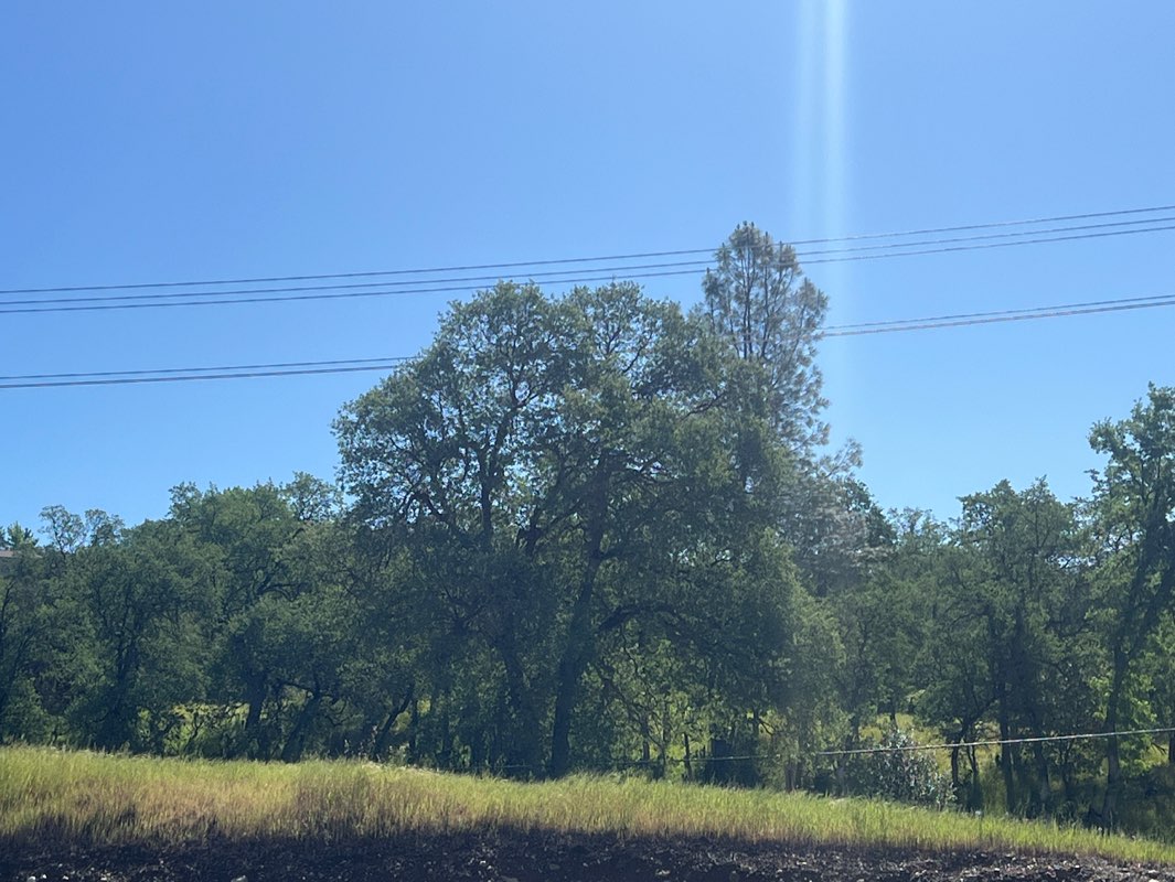 walking near me in Turtle Bay Exporation Park North in spring