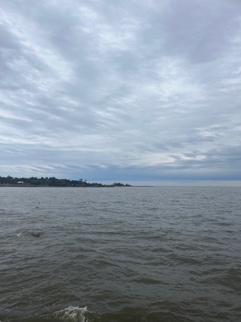 walking near me in Plaza de La Democracia in summer
