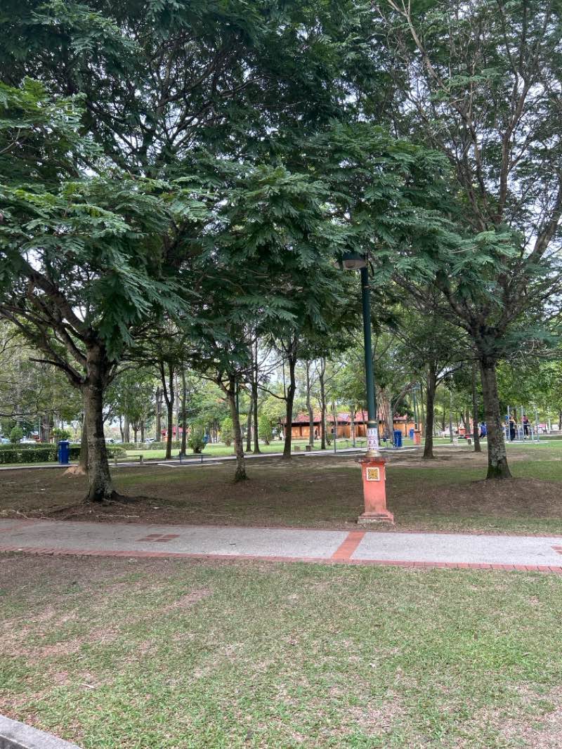 walking near me in Taman Tasik Cempaka in autumn