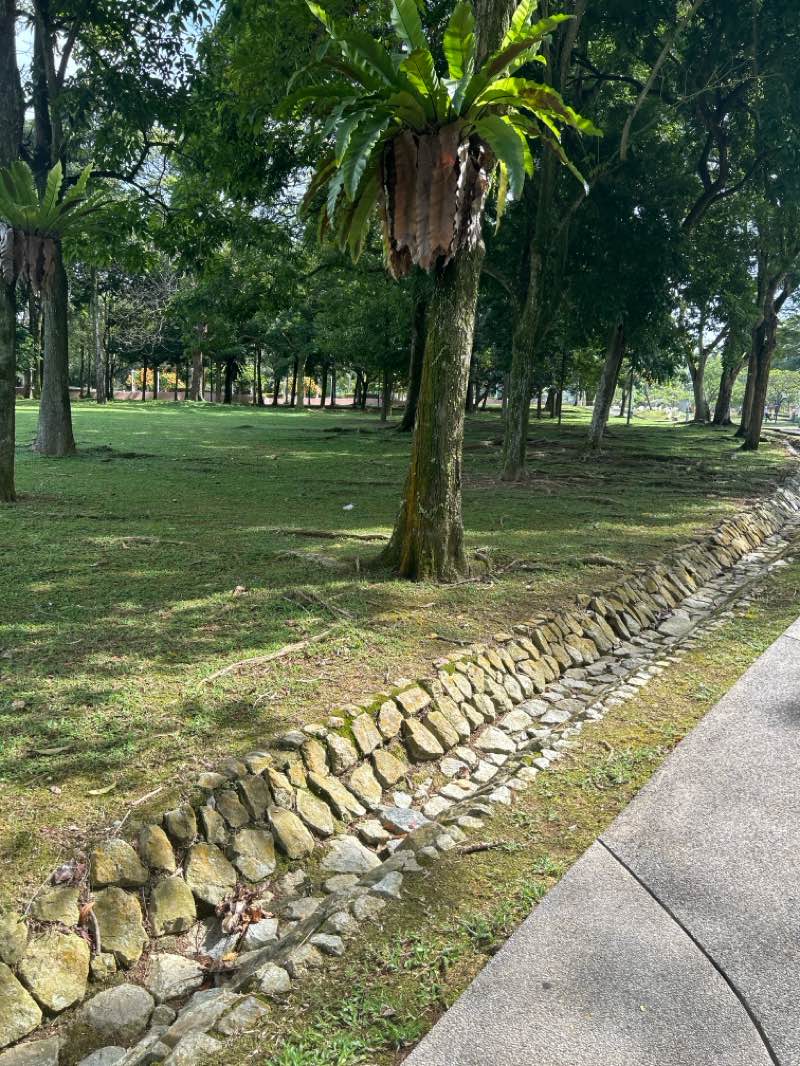 walking near me in Taman Putra Perdana in summer