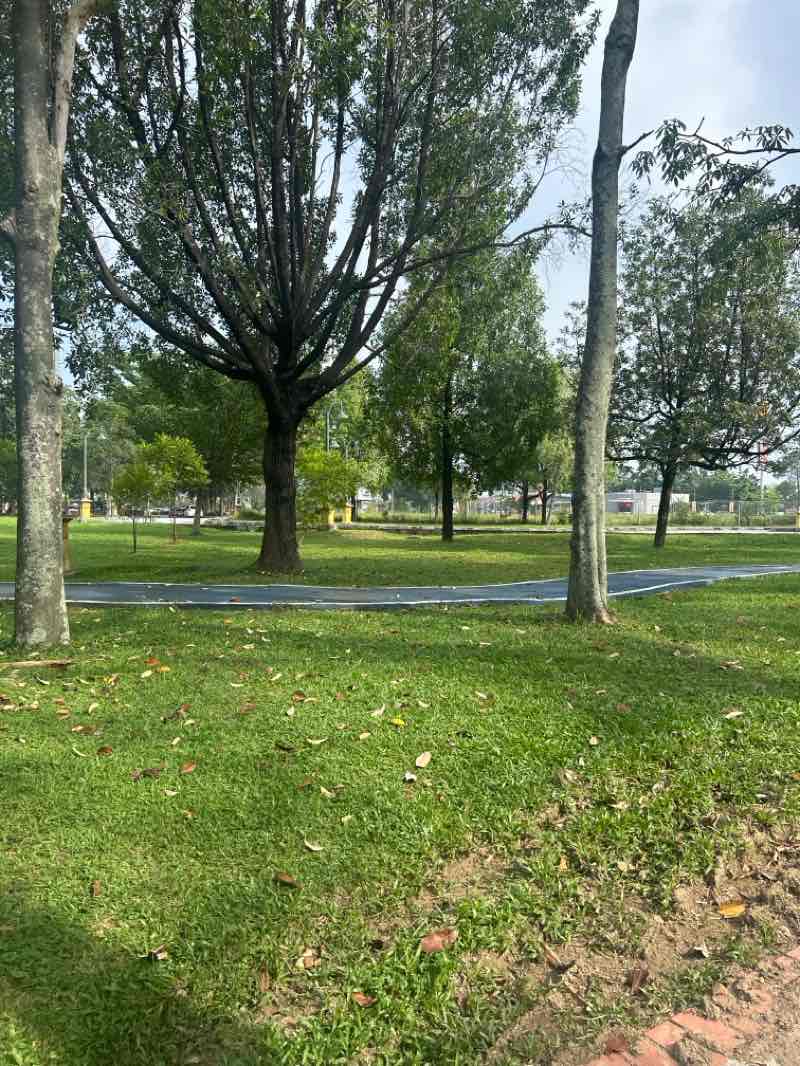 walking near me in Taman Tasik Cempaka in summer
