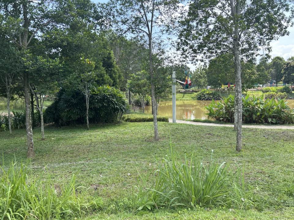 walking near me in Origami Park in spring