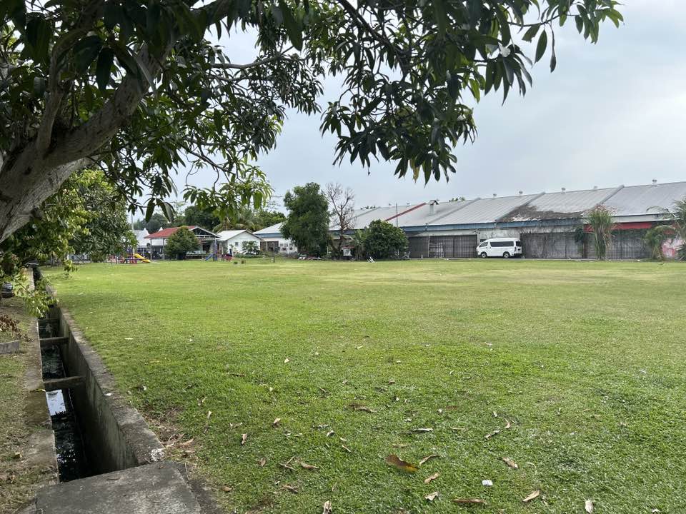 walking near me in Taman Seri Pandan in summer