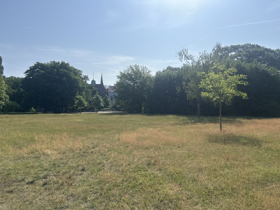 walking near me in Welfengarten in summer