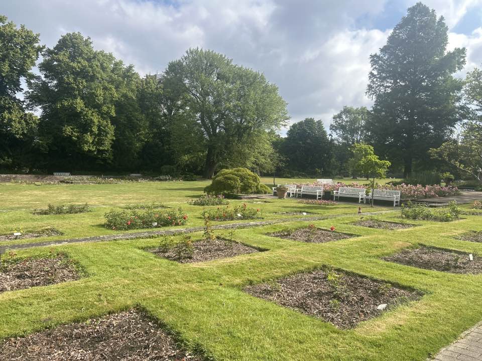 walking near me in Rosengarten in summer
