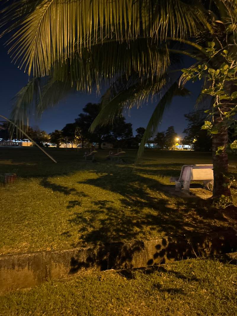 walking near me in Taman Sinar Intan Park in summer