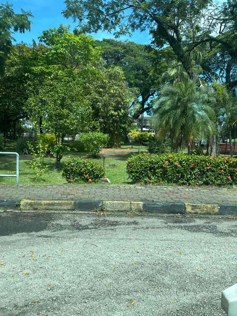 walking near me in Taman Terapeutik Hospital Seberang Jaya in autumn
