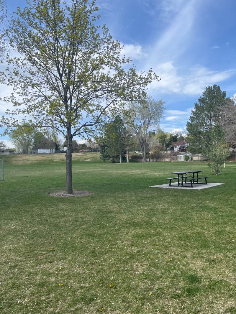 walking near me in Evergreen Park in spring