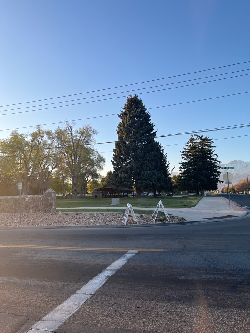 walking near me in Quail Cove in spring