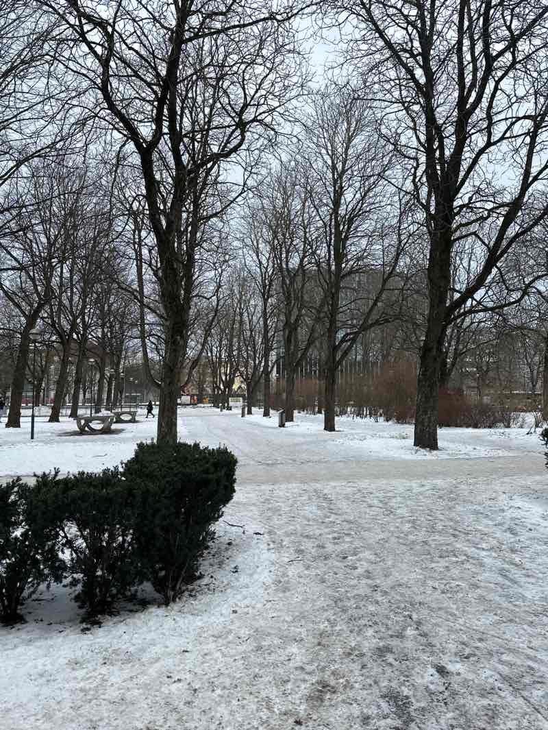 walking near me in Politseiaed in winter